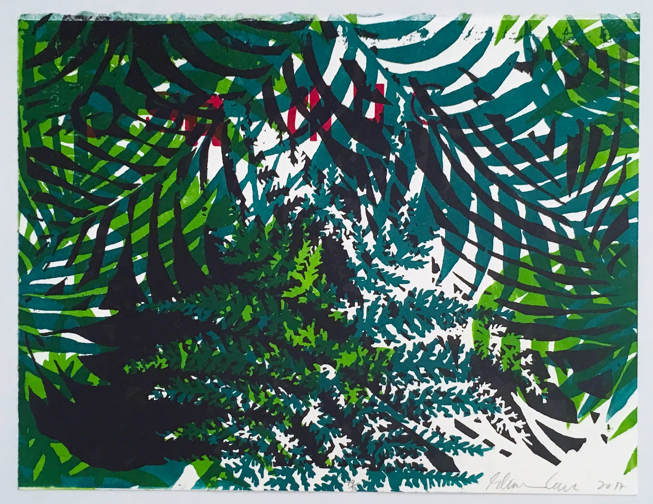 OsaCUNC print