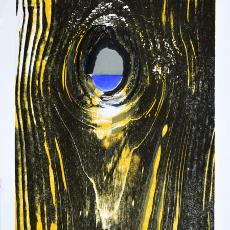 Ocean Loop Portal